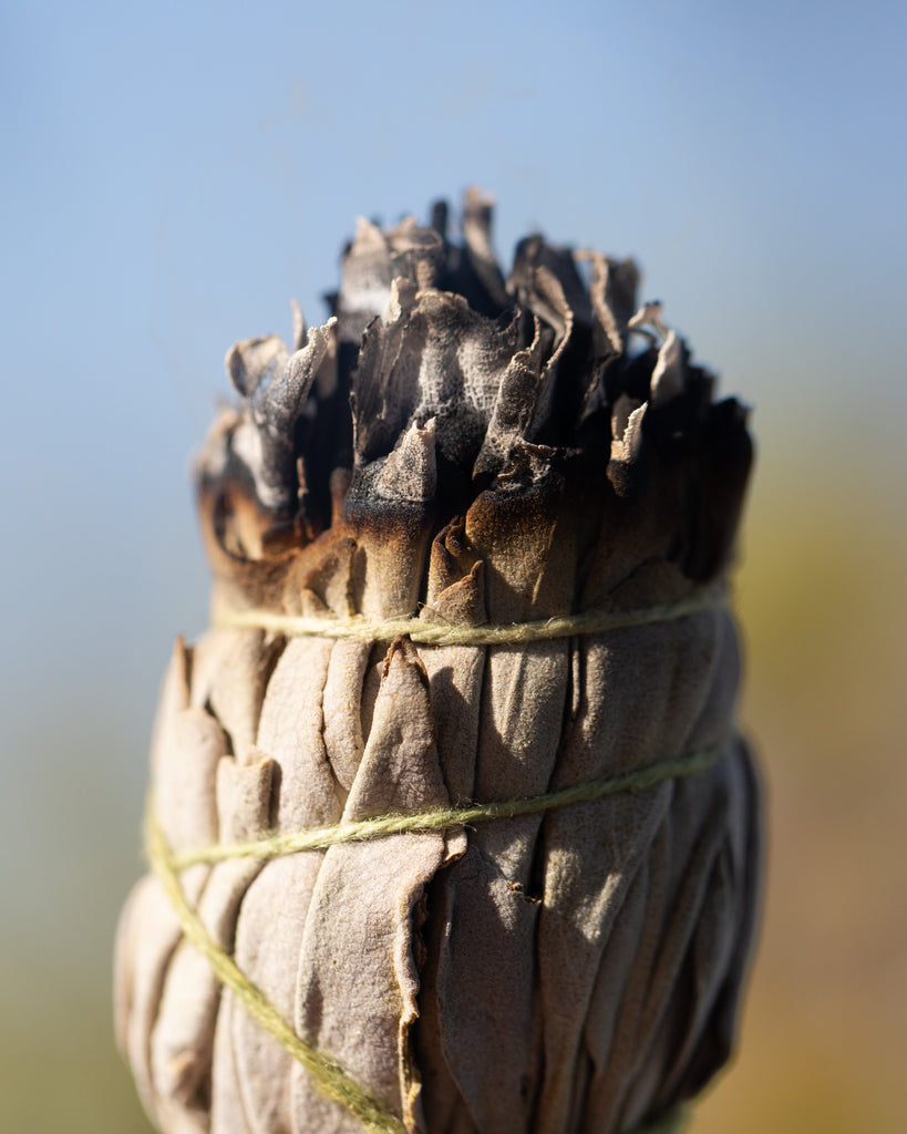 White Sage Mini Smudge Sticks